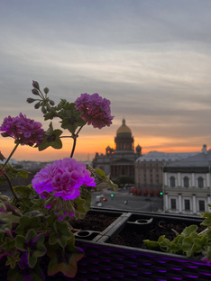 Отдыхаем в Петербурге (кафе, музеи и др).