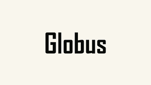 Globus обзоры