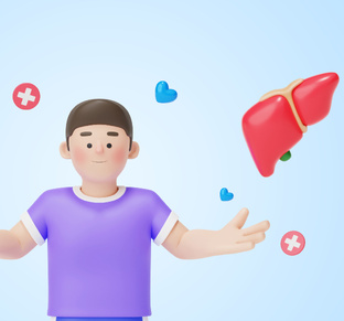 О печени за 5 минут