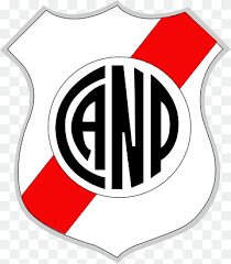 NACIONAL POTOSI TODOS LOS PARTIDOS