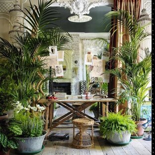 Приключения растюшек