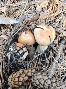 Мои видео моменты👍