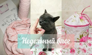 Видео обо всём.