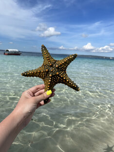 Занзибар🌍