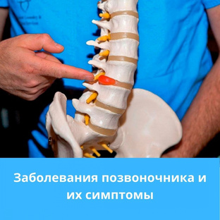 Полезные ссылки паталогии позвоночника