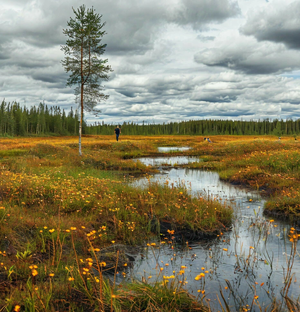 БОГАТЫЙ ПОХОД