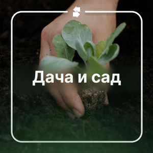 Дача и сад