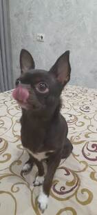 Немного отвлечься от проблем и посмотреть интересные клипы