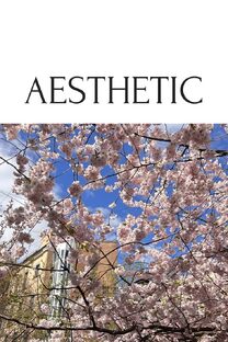 A E S T H E T I C