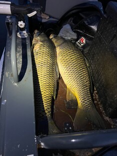 Лучшие моменты