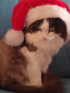 С новым годом!Ой поздно