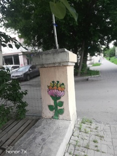 Среда обитания