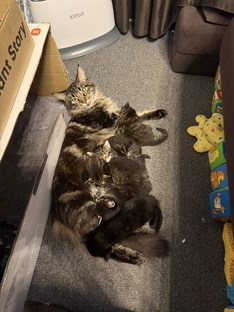 Боня и Саймон ❤️