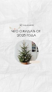 2025 год