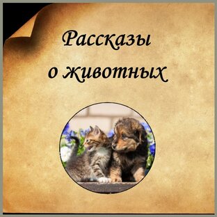 Пишу рассказы по вашим сюжетам