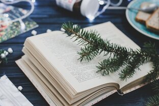 Зимнее настроение ⋆꙳•❅*‧ ☃️‧*❆ ₊⋆