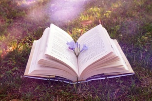 Мои рассказы