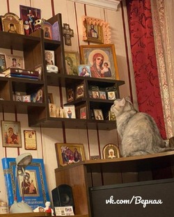 Православная Церковь о кошках. 