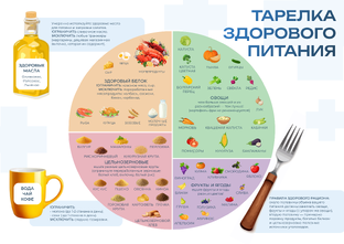 Здоровое питание