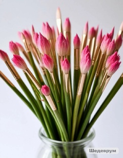 Талантливые авторы Шедеврума 