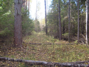 Природа, животный мир