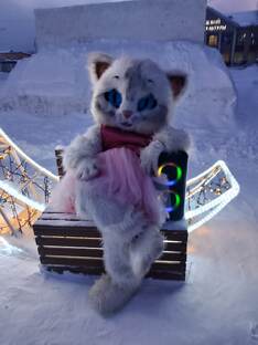 Милая кошечка ждёт ваших заказов, 89502786523 Наталья