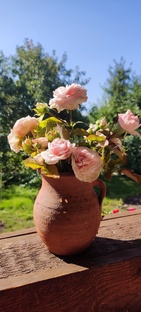 РАСТЕНИЯ В МОЁМ САДУ