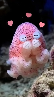 Водный мир🌊🐬