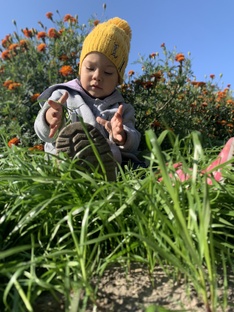 Огородница