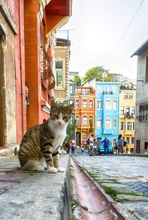 Южные приключения