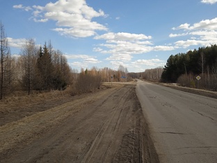 Мысли вслух 