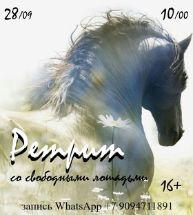 Ретрит-погружение со свободными лошадьми