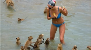 Смешно ХА ХА