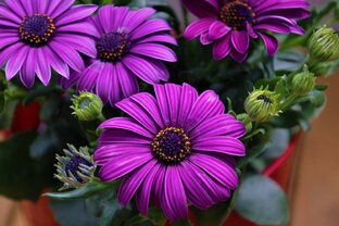 Финиши моих работ за 2025 год