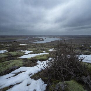 Последний луч надежды