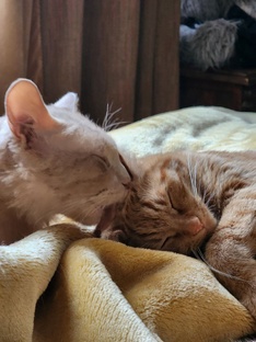 О жизни как она есть