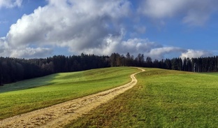 Мы едем, едем, едем...