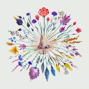 Вселенная аромата