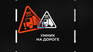 Умник на дороге