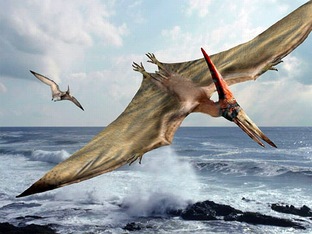 Новость-фантазия