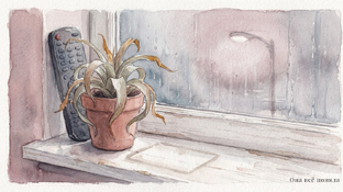 Свет в окне: истории о главном