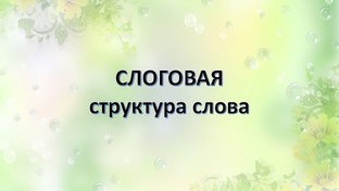 Слоговая структура слова (классы/типы)