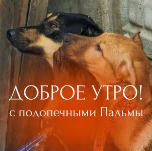 Доброе утро!