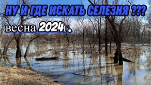 Летний сезон 2024г.