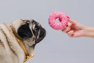 Продвижение