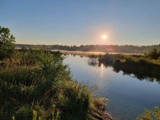 Сплав Истоки реки Оредеж Урочище Донцо 2024г. июль