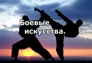 Боевые искусства - для любителей и профессионалов 