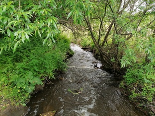 Звуки реки. 