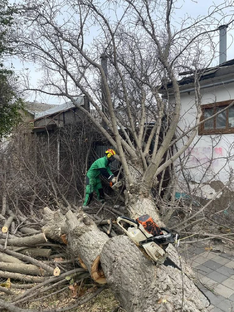 "Шторм Века"2023