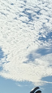 Распоковки 🐸🧿